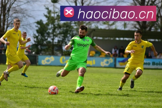 乐竞体育官方平台生态图